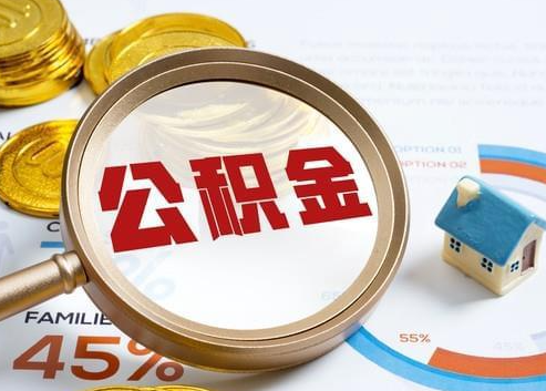 张家界2025年政策调整对个人影响综合解析‌